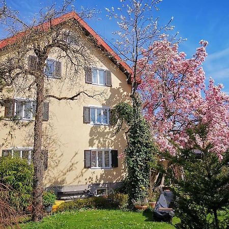 70Qm 3-Zimmer Apartment Am Tauernradweg In Hallein Bei Salzburg, Nahe Berchtesgaden, Rossfeld, Kehlsteinhaus, Obersalzberg, Watzmann, Schoenau Am Koenigsee, Bad Vigaun, Schloss Hellbrunn, Burg Hohen Salzburg, Burg Hohen Werfen # Beherbergungsbetrieb Экстерьер фото