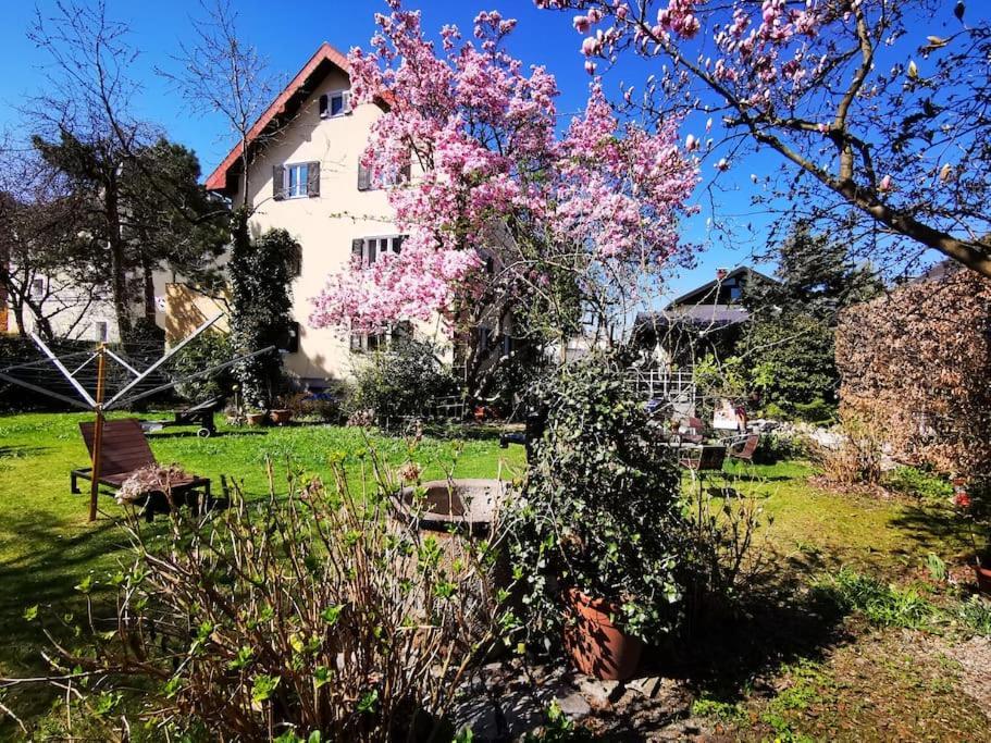 70Qm 3-Zimmer Apartment Am Tauernradweg In Hallein Bei Salzburg, Nahe Berchtesgaden, Rossfeld, Kehlsteinhaus, Obersalzberg, Watzmann, Schoenau Am Koenigsee, Bad Vigaun, Schloss Hellbrunn, Burg Hohen Salzburg, Burg Hohen Werfen # Beherbergungsbetrieb Экстерьер фото
