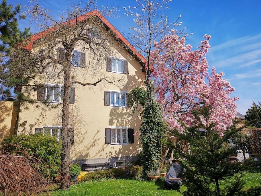 70Qm 3-Zimmer Apartment Am Tauernradweg In Hallein Bei Salzburg, Nahe Berchtesgaden, Rossfeld, Kehlsteinhaus, Obersalzberg, Watzmann, Schoenau Am Koenigsee, Bad Vigaun, Schloss Hellbrunn, Burg Hohen Salzburg, Burg Hohen Werfen # Beherbergungsbetrieb Экстерьер фото